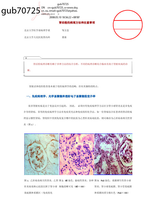 肾活检的病理方法和注意事项