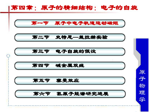 史特恩-盖拉赫试验的解释