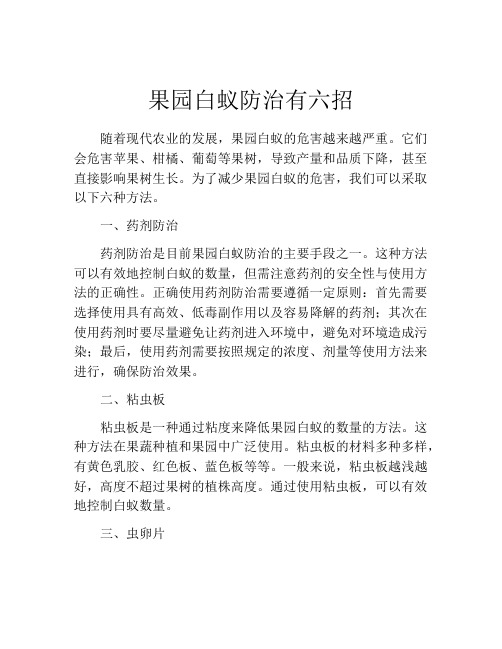 果园白蚁防治有六招