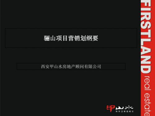 骊山项目营销规划纲要(ppt 65页)