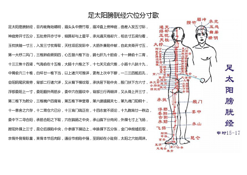 足太阳膀胱经穴位分寸歌