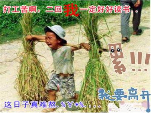 质量守恒定律
