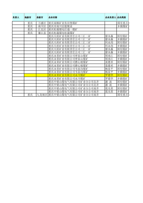 重庆煤矿企业