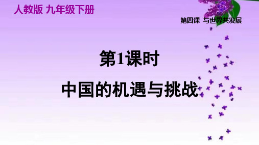 人教部编道德法治九年级下册_ 4.1中国的机遇与挑战