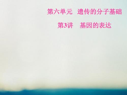 2019版高考生物总复习第六单元遗传的分子基础第3讲基因的表达课件