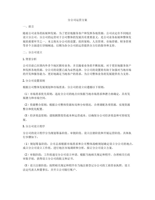 分公司运营方案