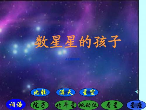 29_数星星的孩子PPT课件_二年级语文下册