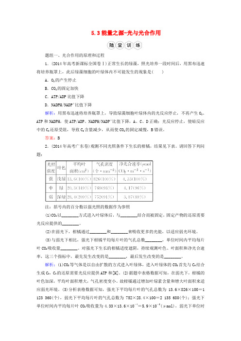 优化探究(新课标)2016高考生物一轮复习 5.3能量之源-要点