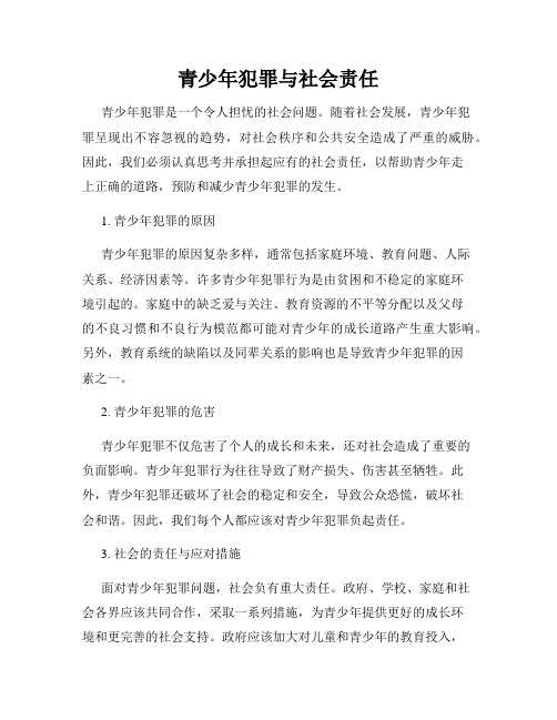 青少年犯罪与社会责任