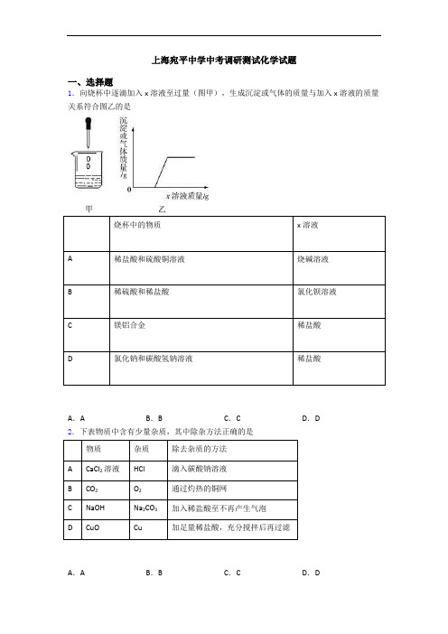 上海宛平中学中考调研测试化学试题