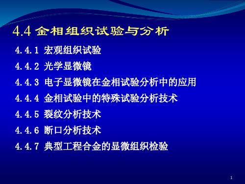 金相组织试验与分析