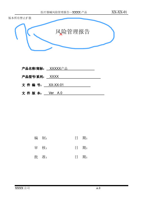 2019深圳公司有源医疗器械风险管理报告