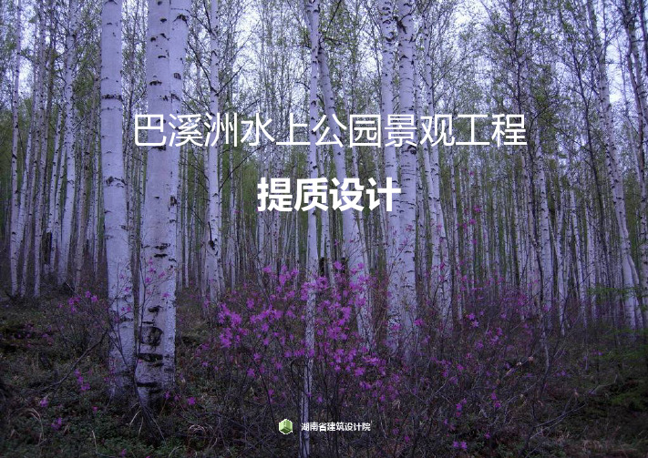 巴溪洲景观建设规划