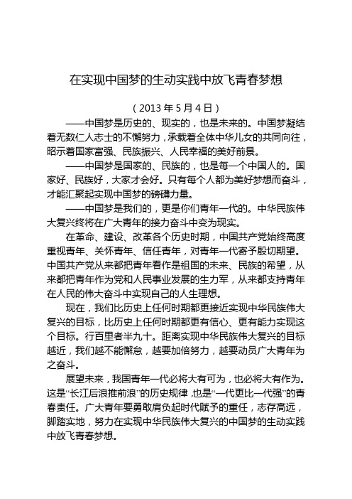 在实现中国梦的生动实践中放飞青春梦想