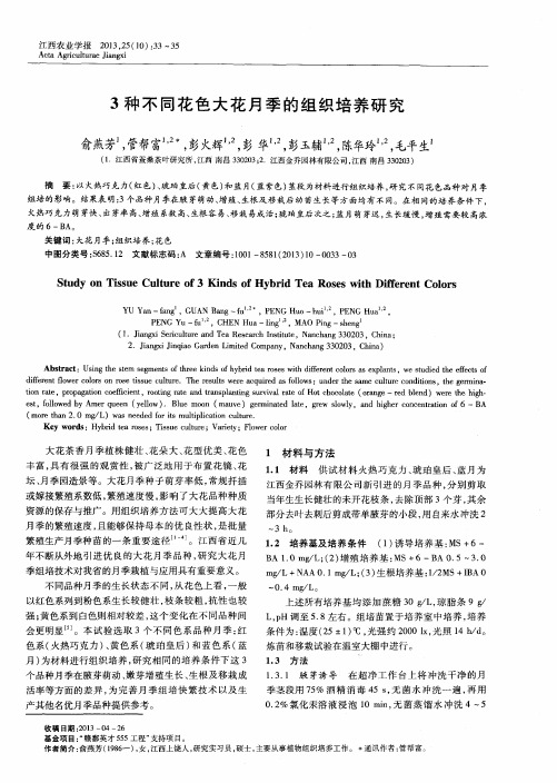 3种不同花色大花月季的组织培养研究