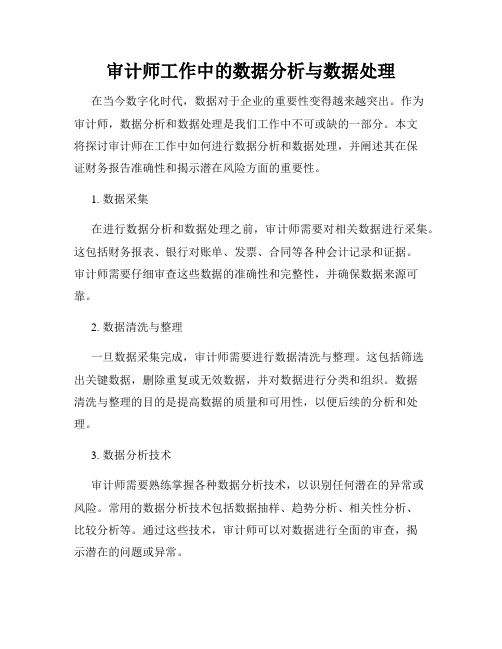 审计师工作中的数据分析与数据处理