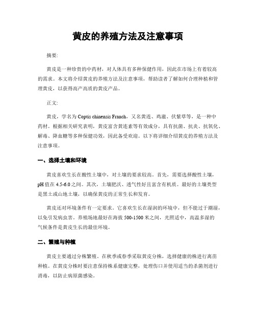 黄皮的养殖方法及注意事项