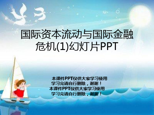 国际资本流动与国际金融危机(1)幻灯片PPT