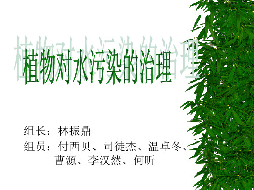 植物对水污染的治理-PowerPoint演示文稿