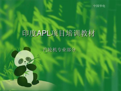 印度APL项目汽机专业培训教材(中文)版