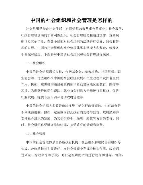 中国的社会组织和社会管理是怎样的