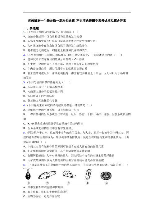 苏教版高一生物必修一期末多选题 不定项选择题专项考试模拟题含答案