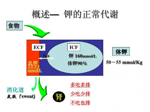 钾代谢障碍