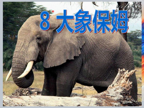 2022语文S版语文三下《大象保姆》ppt课件1
