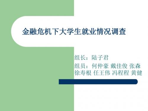 金融危机下大学生就业情况调查(精)