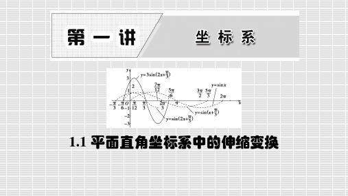 平面直角坐标系中的伸缩变换