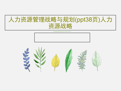 人力资源管理战略与规划(ppt38页)人力资源战略40页PPT