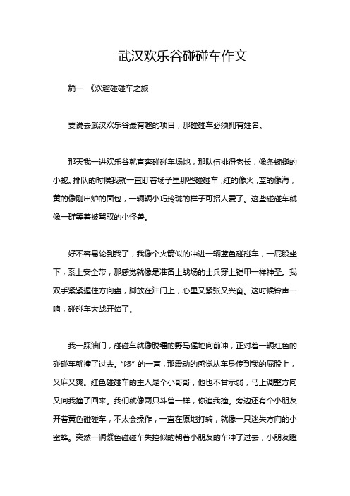 武汉欢乐谷碰碰车作文