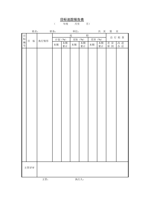 目标追踪报告表