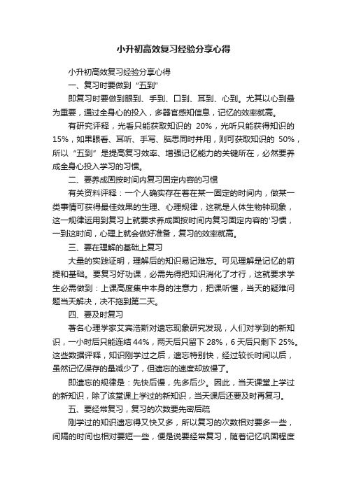 小升初高效复习经验分享心得