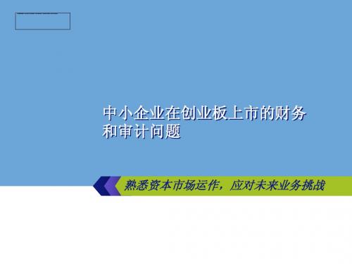 张俊杰：中小企业在创业板上市的财务和审计问题