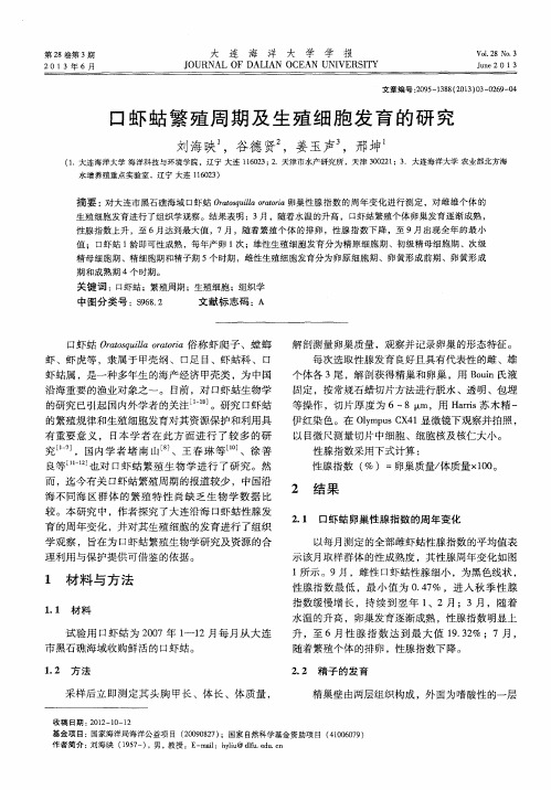 口虾蛄繁殖周期及生殖细胞发育的研究