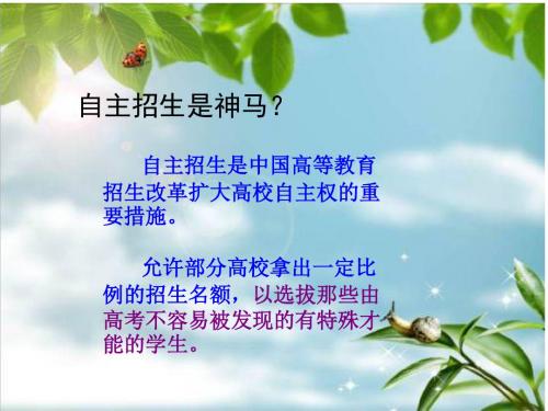 自主招生指导(面试)