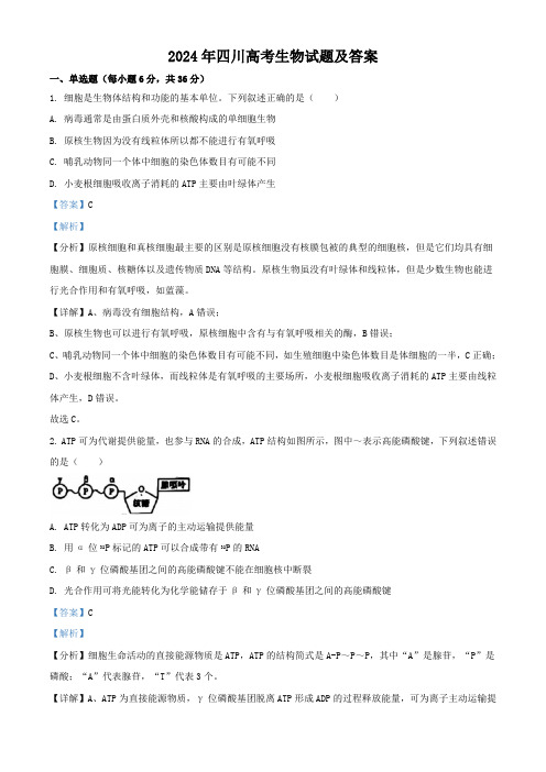 2024年四川高考生物试题及答案 - 副本
