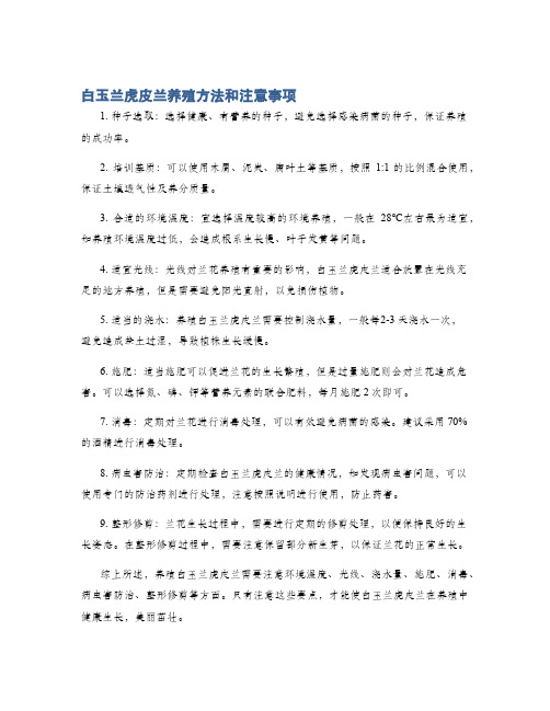 白玉兰虎皮兰养殖方法和注意事项