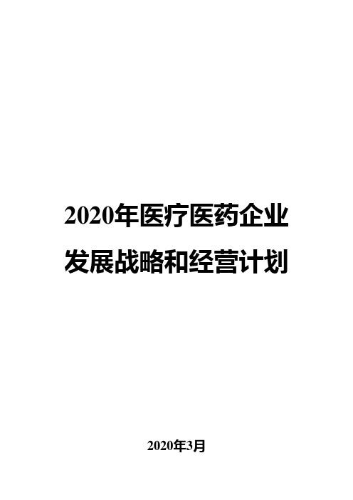 2020年医疗医药企业发展战略和经营计划