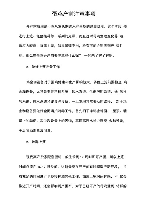 蛋鸡产前注意事项