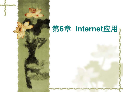 Internet应用基础知识PPT课件