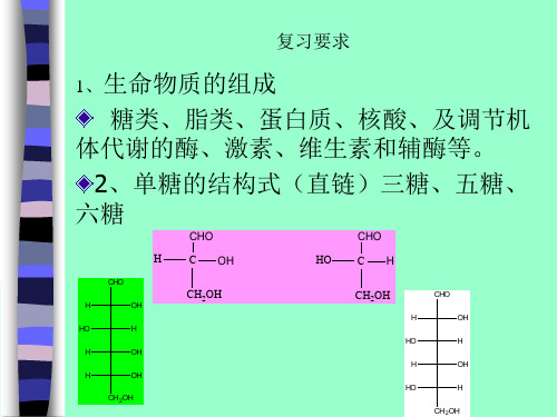 生物化学复习提纲