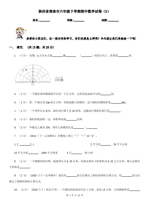 陕西省商洛市六年级下学期期中数学试卷(5)