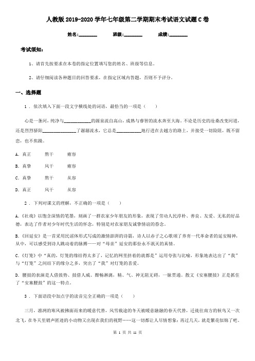 人教版2019-2020学年七年级第二学期期末考试语文试题C卷