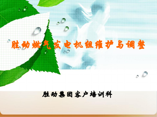燃气发电机组维护与调整培训讲义
