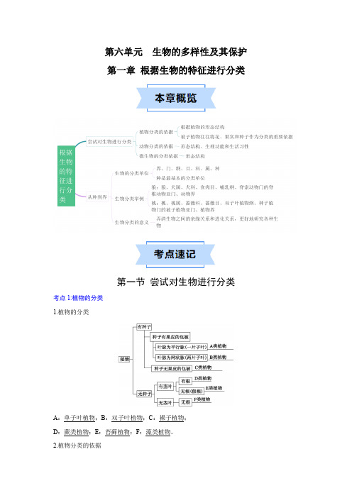 第一章根据生物的特征进行分类3