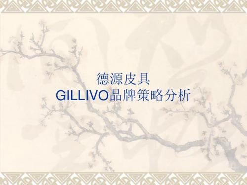 GILLIVO品牌策略分析