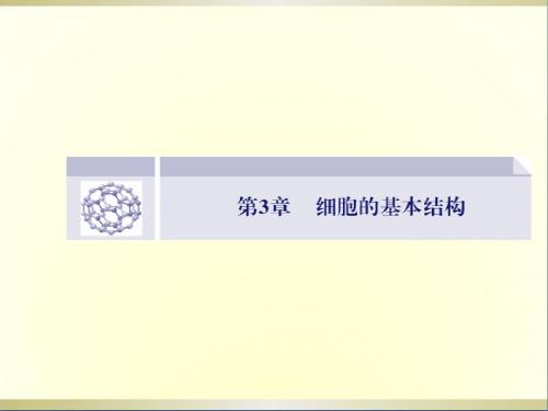 高中生物 3.1 细胞膜 系统的边界课件 新人教版必修1