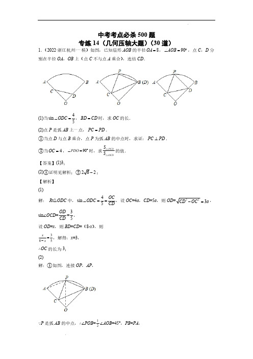 中考数学专练14(几何压轴大题)(30题)(解析版)